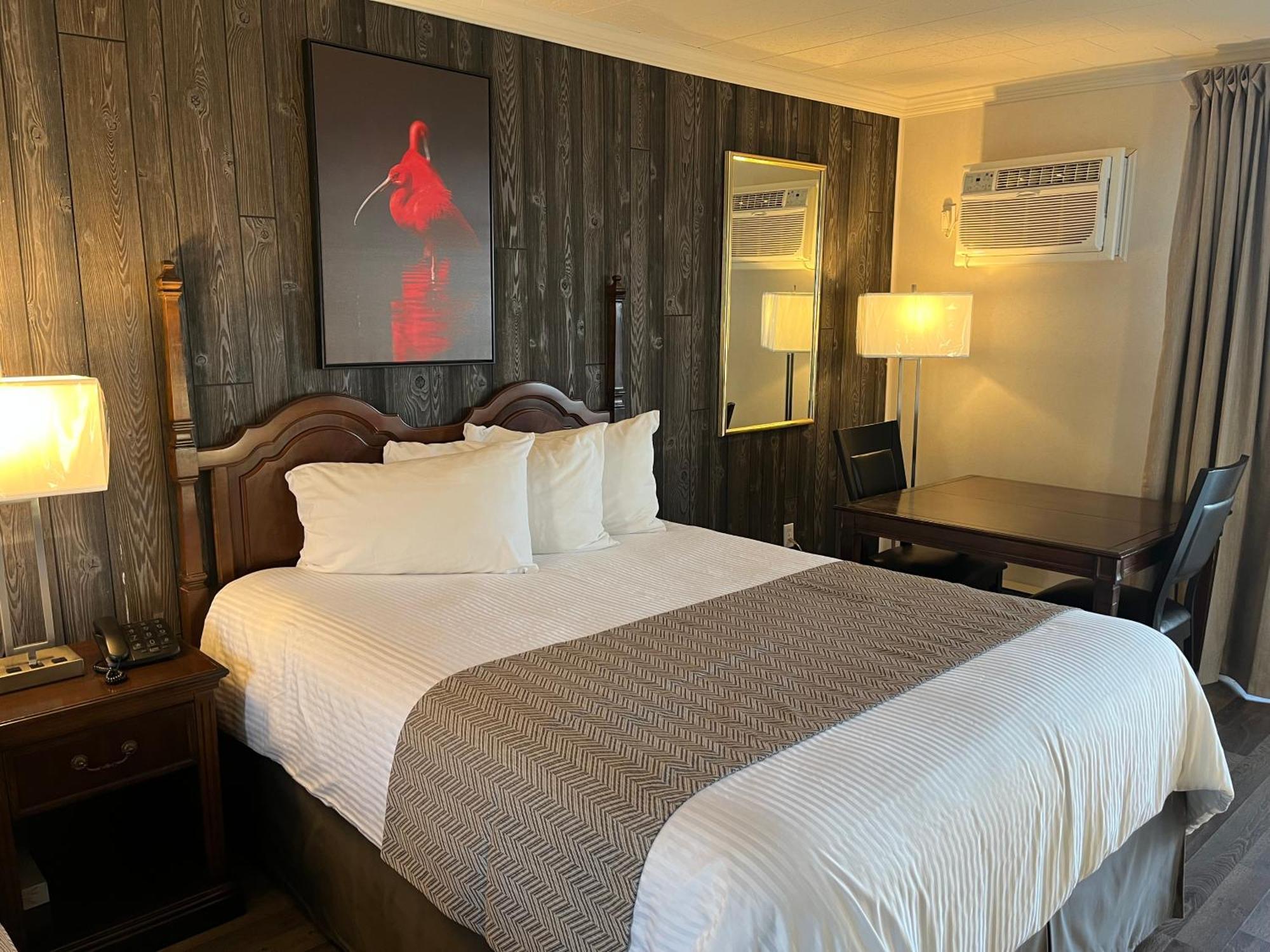 Motel Vue Belvedere Saint-Siméon エクステリア 写真